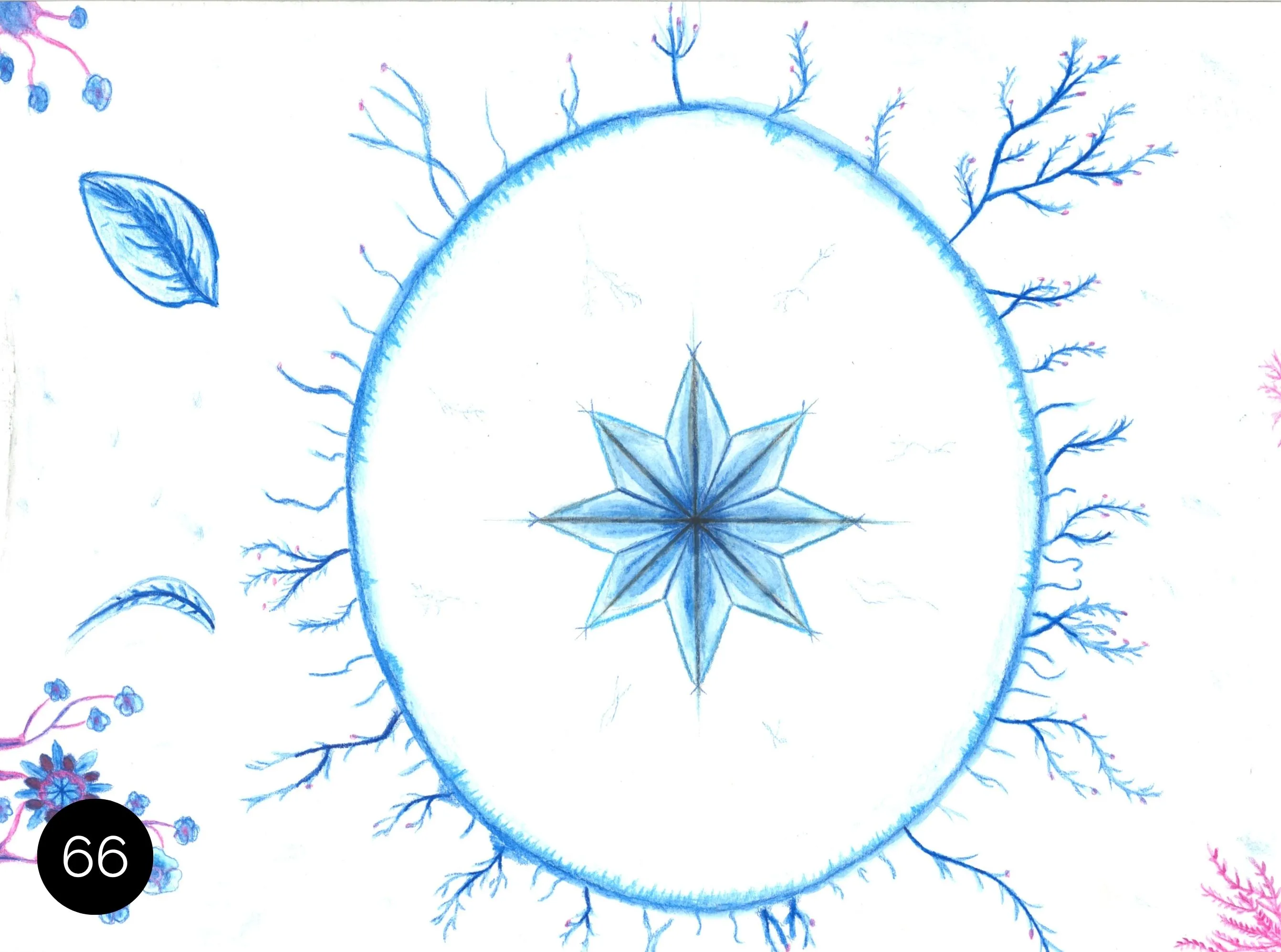 Œuvre no 66